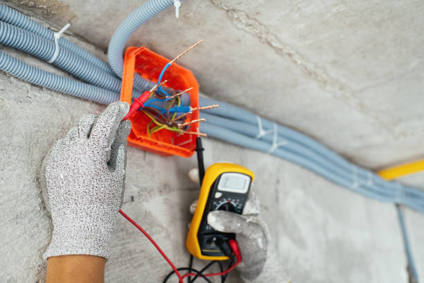 Best Ceiling Fan Installation Electrician  in Plummer, ID
